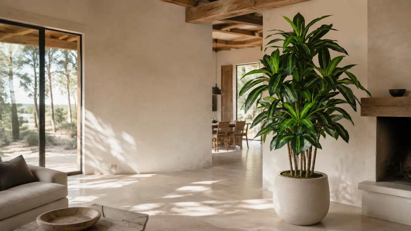 Dracaena Tamaris dans une villa contemporaine du Médoc