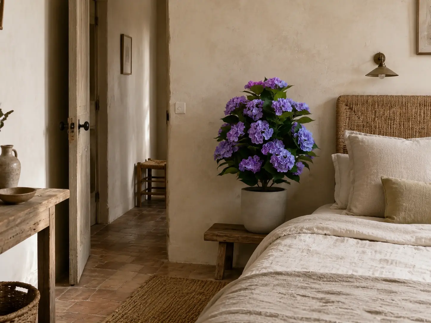 Hortensia violet dans une chambre singulière de maison d’hôtes