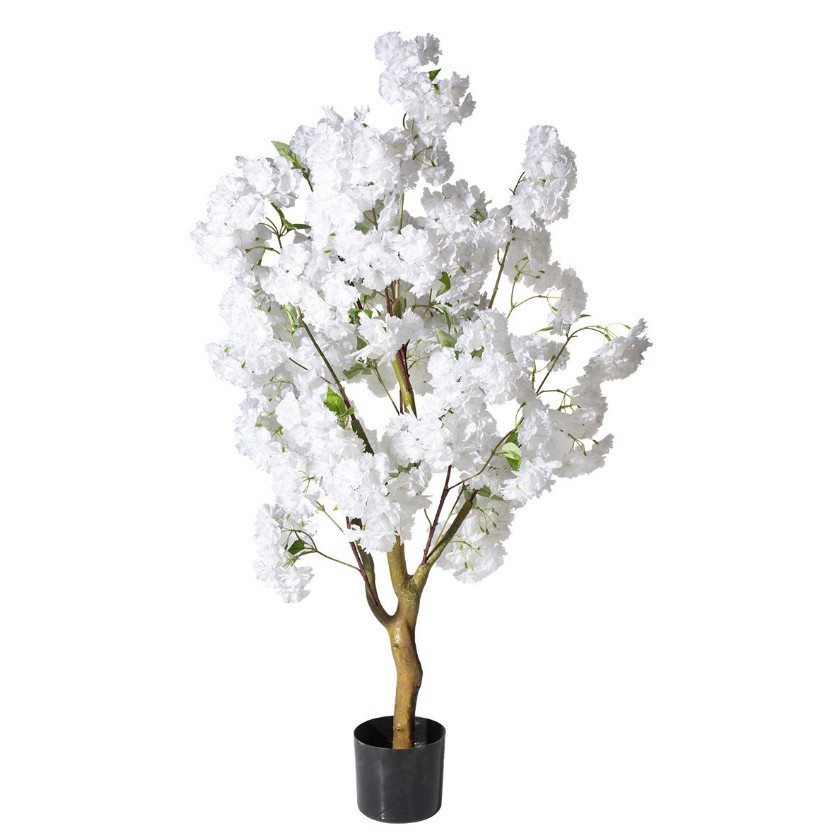 Cerisier Blanc des Pins